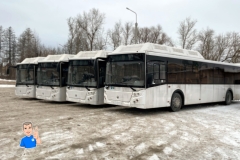 avtobus5
